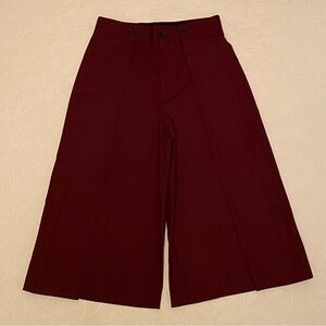 ZARA Burgundy Wide-Leg Culottes
